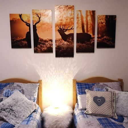 Appartamento Valmaor Predazzo Exteriör bild